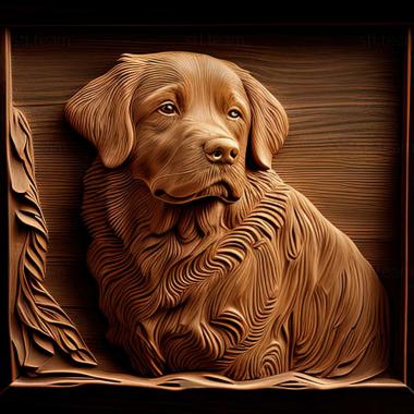 3D model The Nova Scotia Retriever dog (STL)